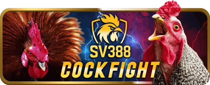 VIP Đồng